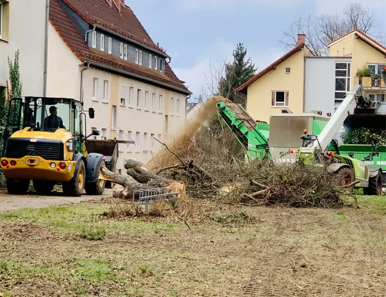 Bagger bei Rodungsarbeiten zur Vorbereitung einer Gewerbefläche im Rhein-Main-Gebiet.
