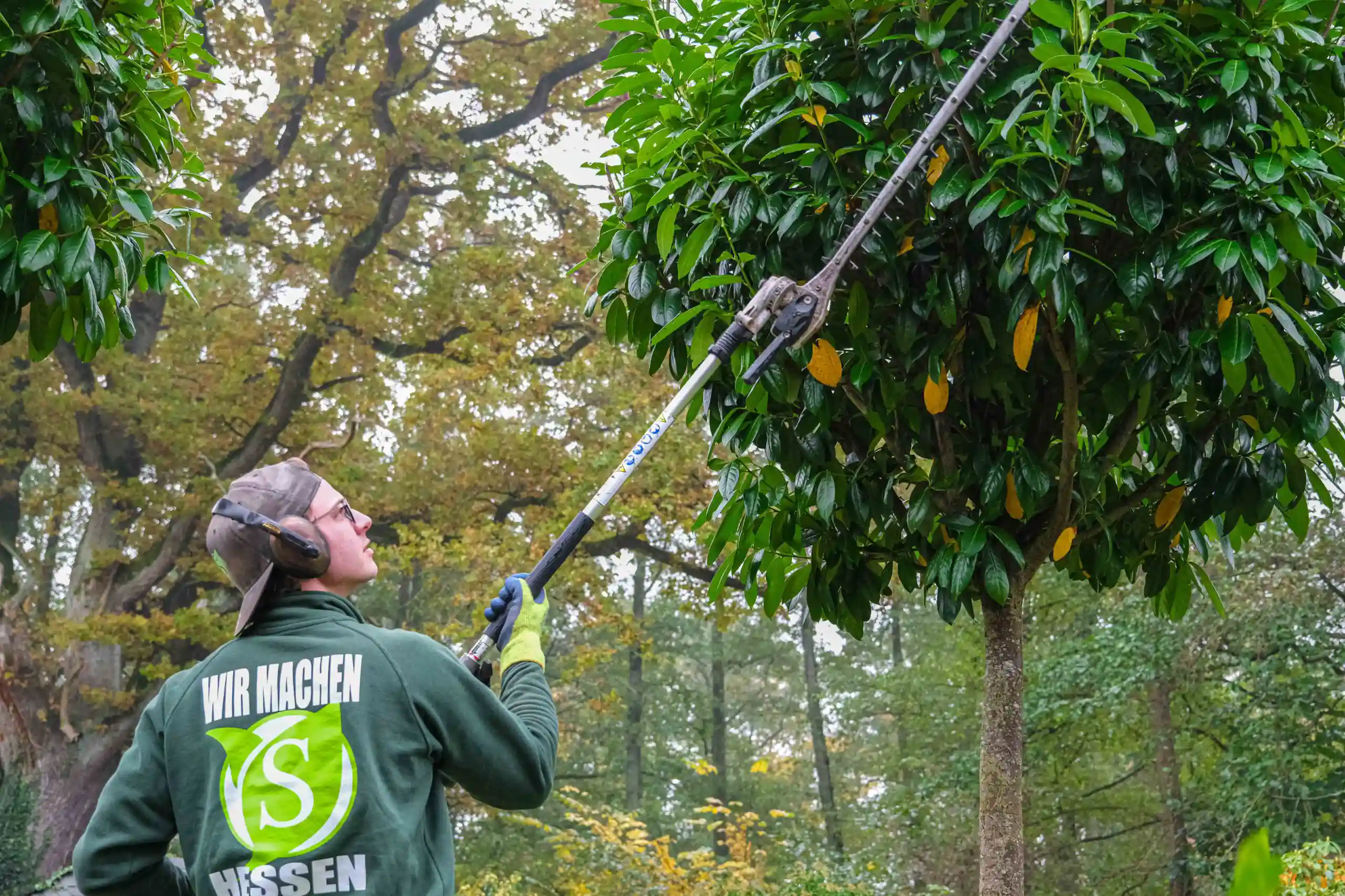 Mitarbeiter bei der fachgerechten Baumpflege und Baumfällung auf einer Gewerbefläche im Rhein-Main-Gebiet.