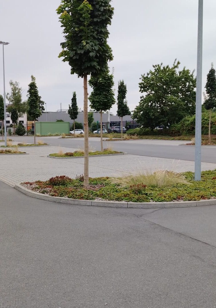 Außenanlge_Sehrig_galabau Außenanlge_Sehrig_galabau